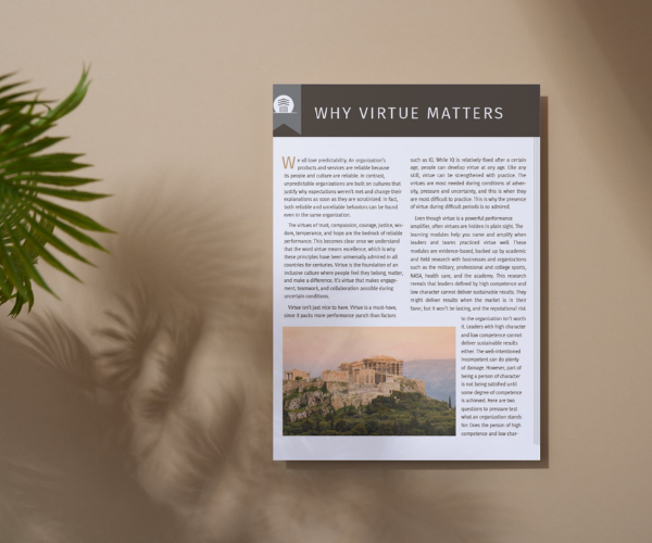 Why Virtues Matter Article